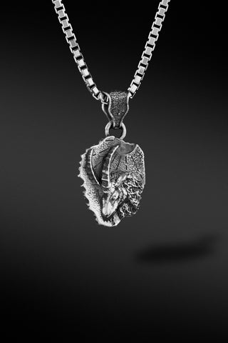 Shop Artisan Jewellery Brand Helios Silver Capricorn Pendant at Erebus