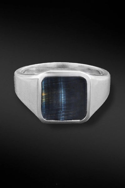 Shop Artisan Jewellery Brand Helios Sterling Silver and Tiger Eye Stone Gentleman Ring at Erebus
