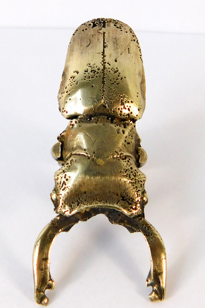 Shop Emerging Slow Fashion Conscious Designer Stacy Hopkins Jewelry Bronze Stag Beetle Ring at Erebus