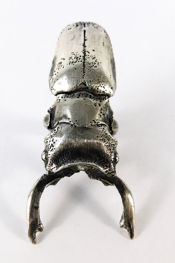 Shop Emerging Slow Fashion Conscious Designer Stacy Hopkins Jewelry Silver Stag Beetle Ring at Erebus